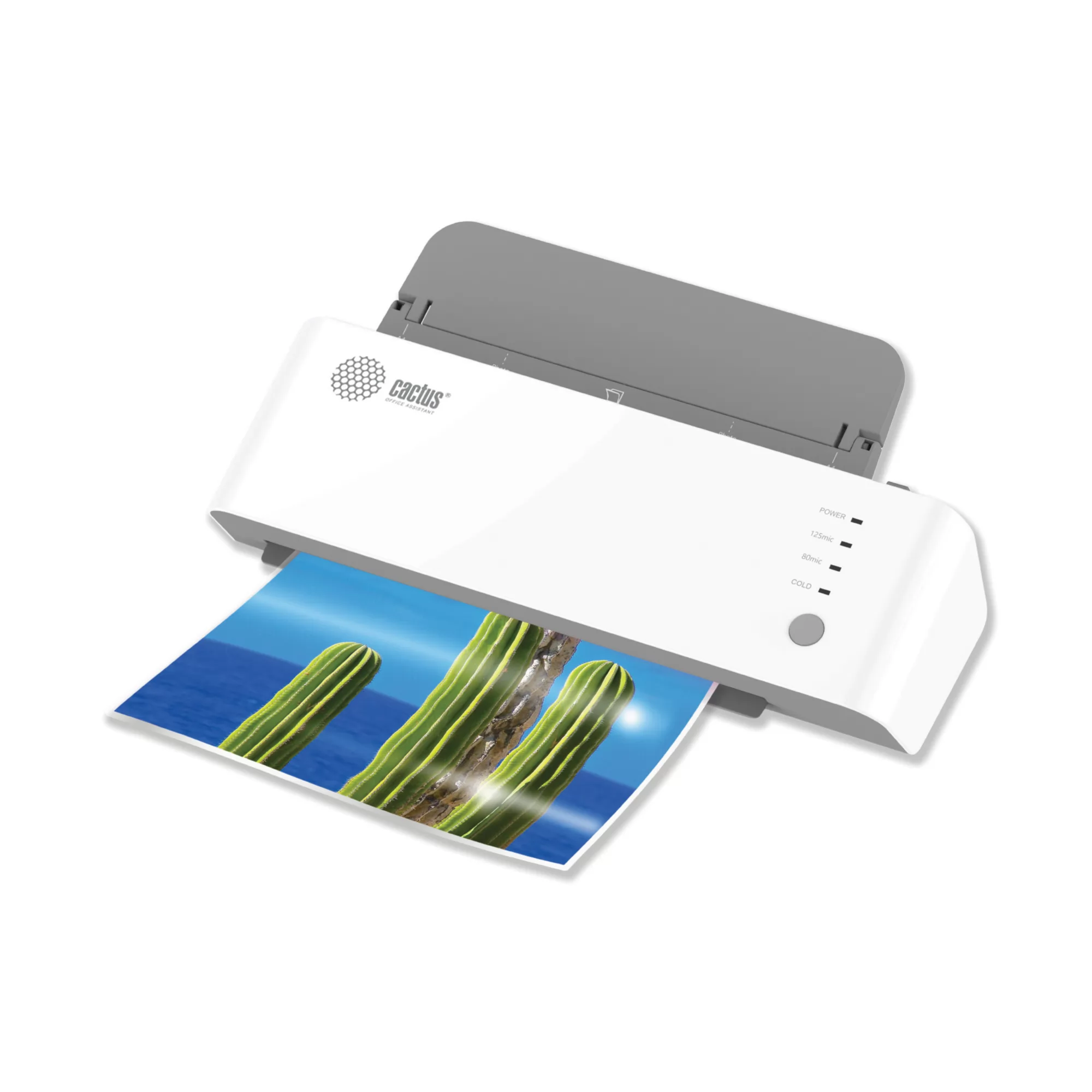 Ապրանքի նկարը